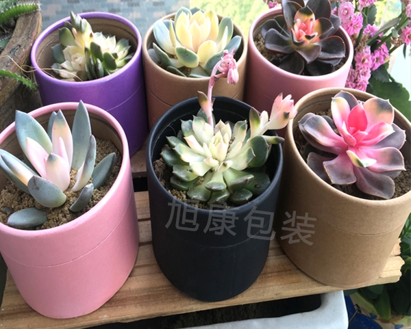 东莞防水环保纸筒